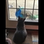 thumbnail Can you come out to play