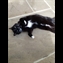 thumbnail Chilling on the patio