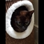 thumbnail Hide' n'  Seek