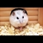 thumbnail Sprite